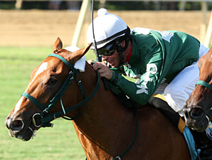 Silvertonguedtommy wins the 2013 Chenery Stakes.