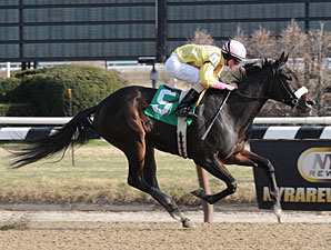 Singlet wins the 2012 Xtra Heat.