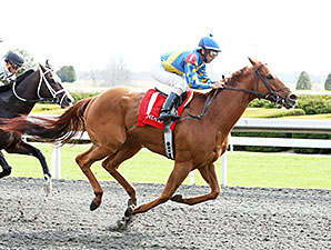 Sir Applesolutely wins an allowance optional claiming race at Keeneland, April 10, 2014