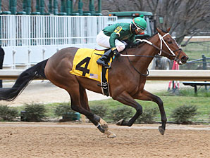 Sister Ginger wins the 2013 Martha Washington Stakes.