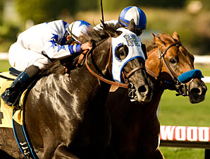 Skipshot wins the 2010 Swaps.
