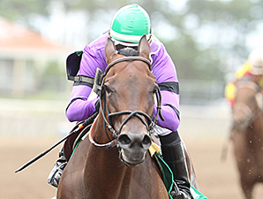 Sky and Sea wins the 2014 Frances Genter Stakes.