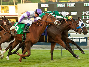 Sky High Gal wins the 2013 Blue Norther Stakes.