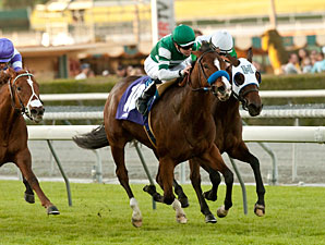 Sky High Gal wins the 2013 Blue Norther Stakes.