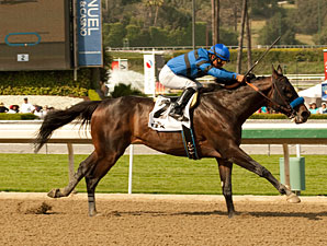 Sky Kingdom wins the 2013 Tokyo City.
