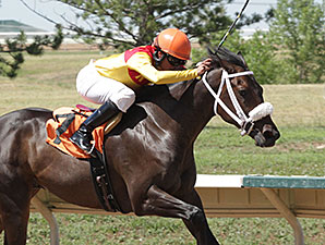 Sky T wins the CTBA Futurity.