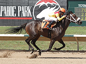 Sky T wins the CTBA Futurity.