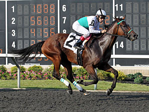 Sky Willow wins the 2012 Northern Fling Stakes.