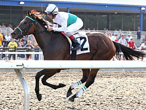 Sky Willow wins the 2012 Northern Fling Stakes.