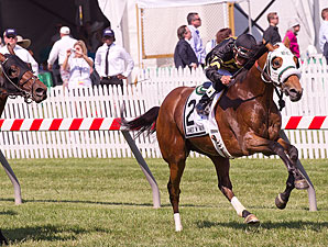 Skyring wins the 2012 James Murphy Stakes.