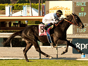 Slim Shadey wins the John Henry Turf.