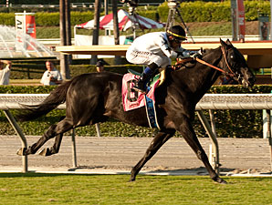 Slim Shadey wins the John Henry Turf.