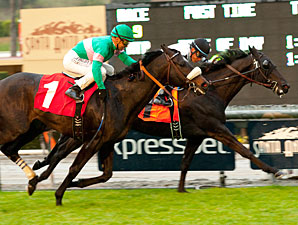 Slim Shadey wins the 2012 San Marcos.