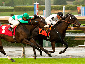 Slim Shadey wins the 2012 San Marcos.