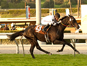Slim Shadey wins the 2013 San Marcos Stakes.
