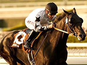 Slim Shadey wins the 2013 San Marcos Stakes.
