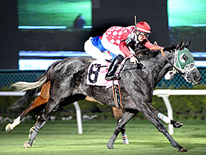 Smiles Golden Song wins the 2014 San Jacinto Stakes.