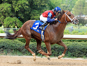 Smiling Tiger wins the 2011 Count Fleet Handicap.
