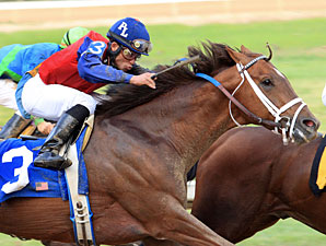 Smiling Tiger wins the 2011 Count Fleet Handicap.