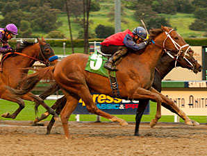 Smiling Tiger wins the 2011 San Carlos.