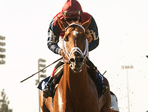 Smiling Tiger wins the 2011 Triple Bend.