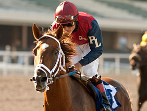 Smiling Tiger wins the 2011 Triple Bend.