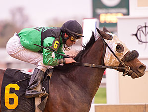 Sneaky Lil wins the 2012 Shine Again Stakes.