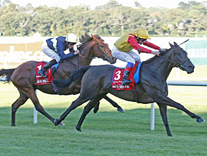 Snow Fairy wins the 2012 Irish Champion Stakes.