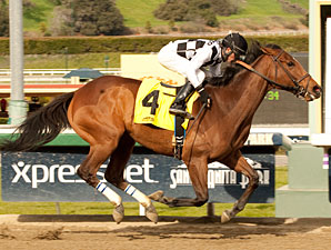 Snow Fall wins the Paseana Handicap.