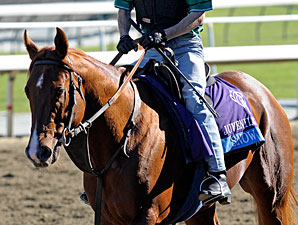 Snow King at Santa Anita 10/29/2012.