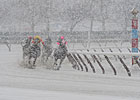The Week in Photos: March 3, 2010