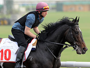 So You Think - Dubai 2012