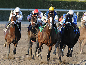 Soaring Empire wins the 2011 Hal's Hope.