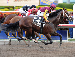 Soaring Stocks wins the 2012 FL Sunshine Millions Sprint.