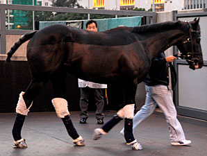 Society Rock arrives in Hong Kong, December 3, 2011.