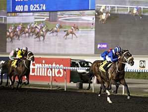 Soft Falling Rain wins the 2013 United Arab Emirates Two Thousand Guineas Trial.