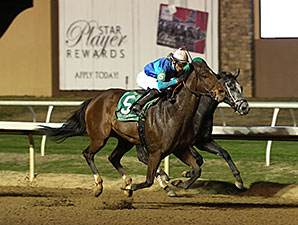 Solar Charge wins the 2014 Premiere Stakes.