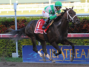Soldat wins the 2011 Fountain of Youth.