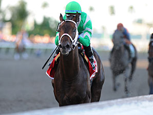 Soldat wins the 2011 Fountain of Youth.