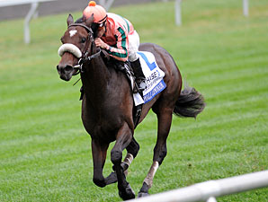 Somali Lemonade wins the 2011 Jessamine Stakes.