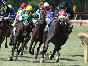 Soonerette wins the 2011 Happy Ticket.