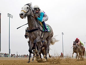 Souper Miss wins the 2010 The Peach Of It.