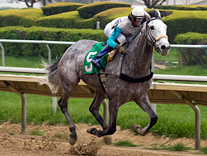 Souper Miss wins the 2010 The Peach Of It.