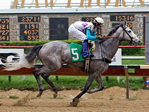 Souper Miss wins the 2010 The Peach Of It.