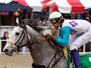 Souper Miss wins the 2010 The Peach Of It.
