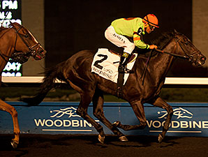 Spadina Road wins the 2014 Deputy Minister Stakes.