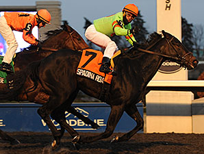 Spadina Road wins the 2013 Kingarvie Stakes.