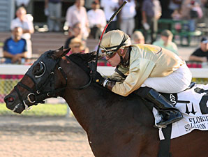 Speak Logistics wins the Florida Stallion Stakes In Reality Division.