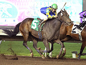 Speakfromyourheart wins the 2014 10,000 Lakes Stakes.