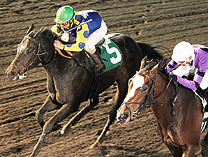 Speakfromyourheart wins the 2014 10,000 Lakes Stakes.